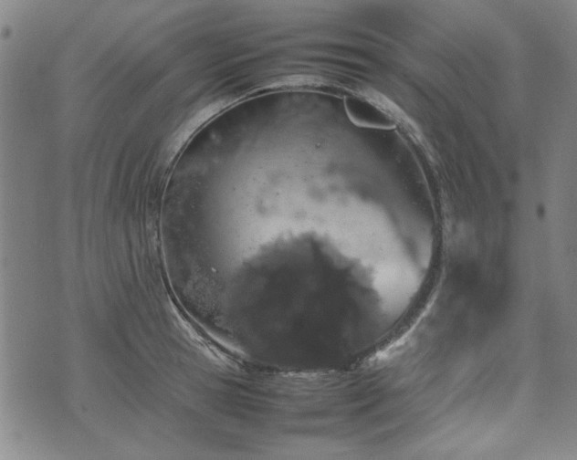 X0000074930945200609011047