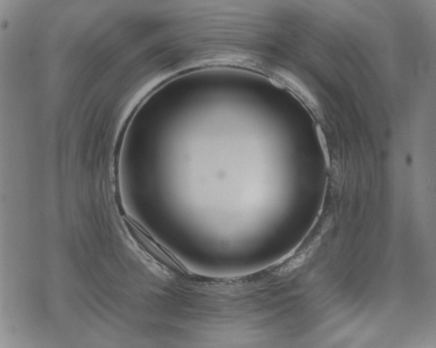 X0000074930948200609011047