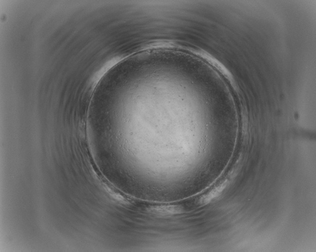 X0000074930953200609011047