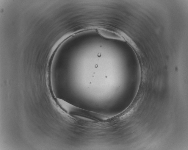 X0000074930955200609011047