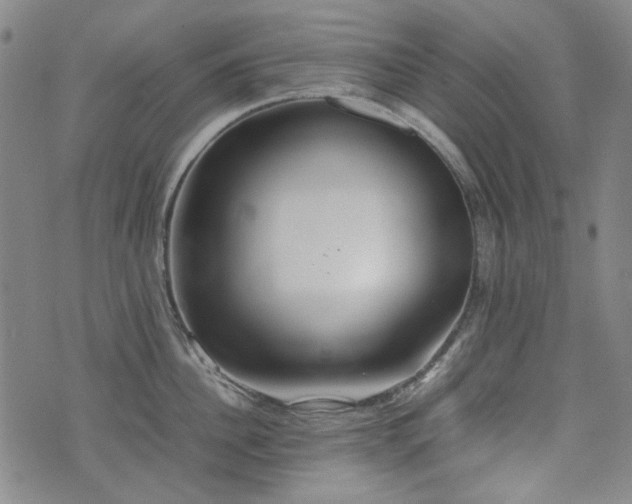 X0000074930956200609011047