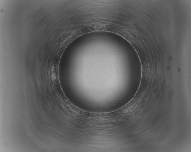 X0000074930962200609011046