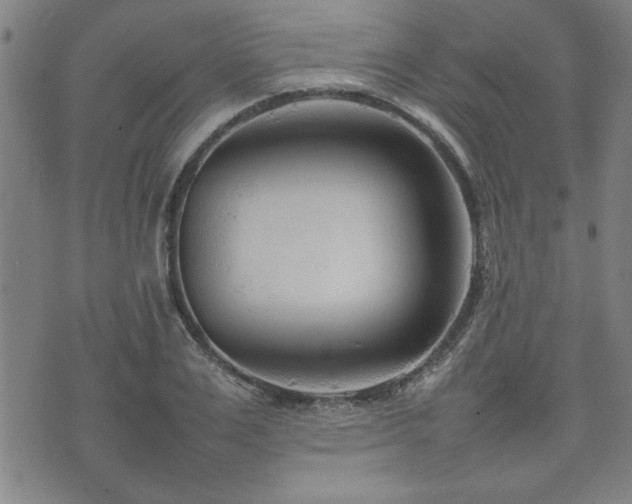 X0000074930983200609011046
