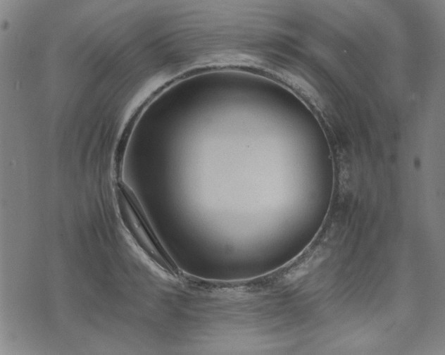 X0000074930990200609011046