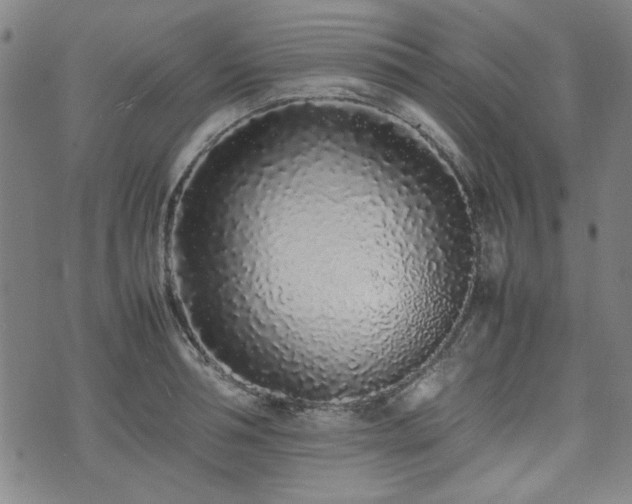 X0000074930994200609011046
