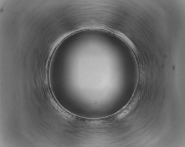 X0000074931004200609011046