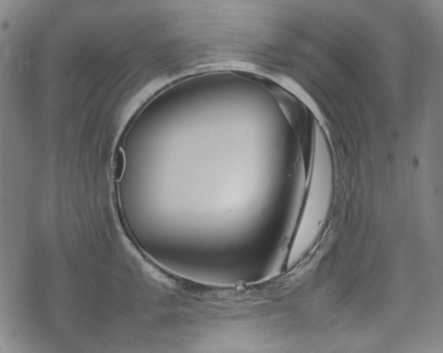 X0000074931005200609011046