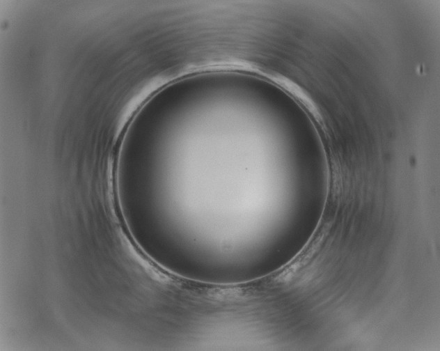 X0000074931006200609011046
