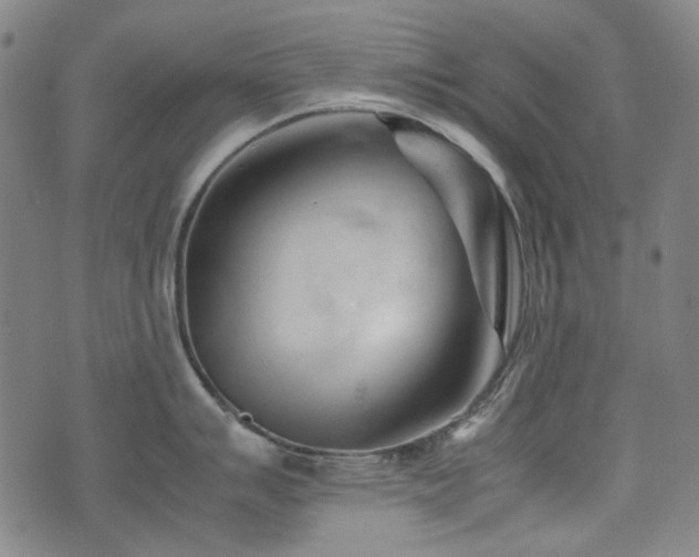 X0000074931007200609011046