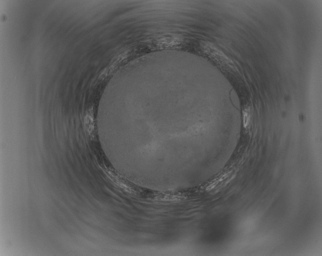 X0000074931011200609011045