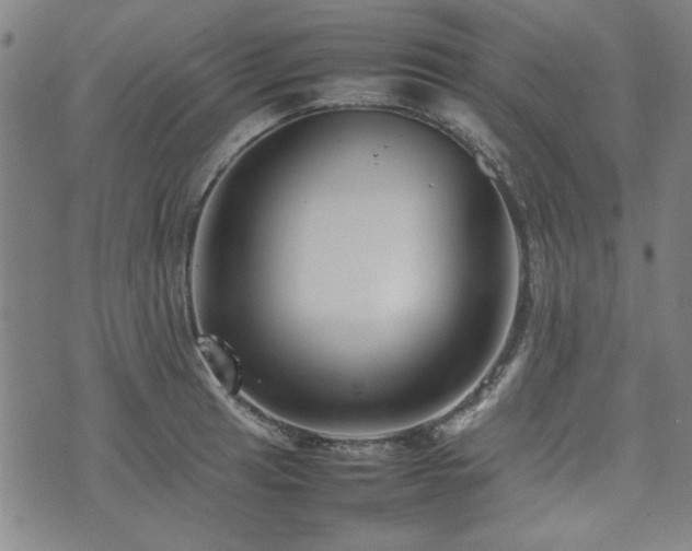 X0000074931041200609011045