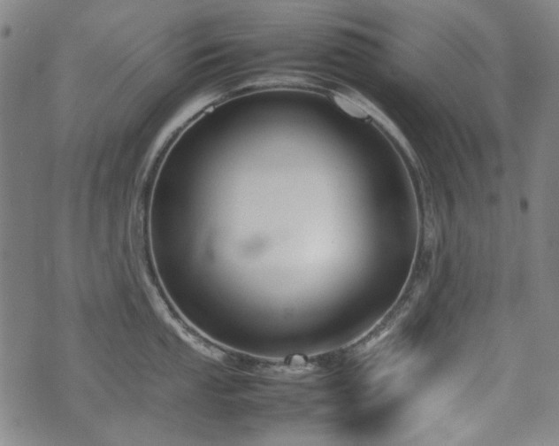 X0000074931053200609011046