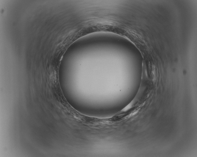 X0000074931061200609011045