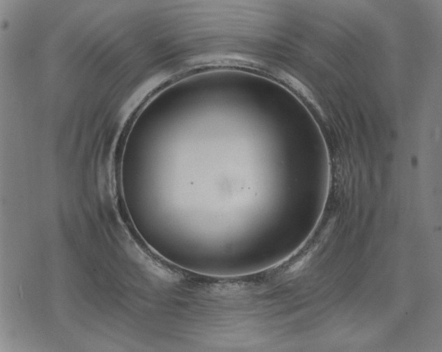 X0000074931082200609011044