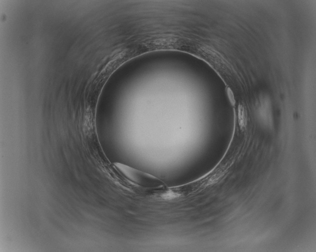 X0000074931107200609011043