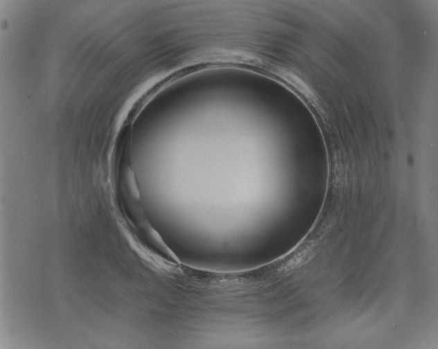 X0000074931128200609011044