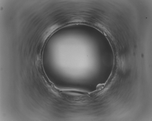 X0000074931129200609011044