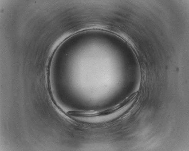 X0000074931151200609011044