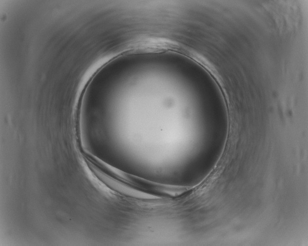 X0000074931152200609011044
