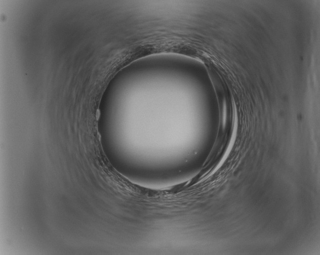 X0000074931153200609011043