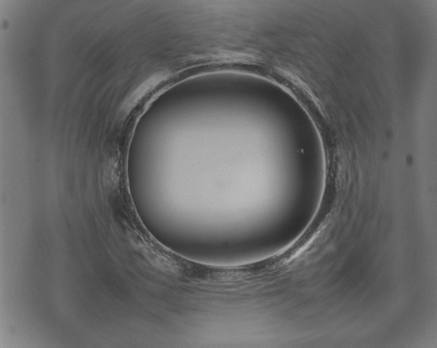 X0000074931163200609011043