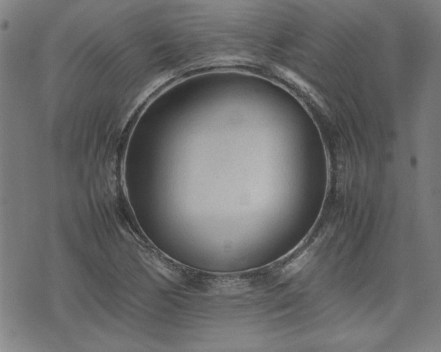 X0000074931170200609011043