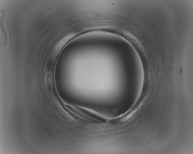 X0000074931177200609011043