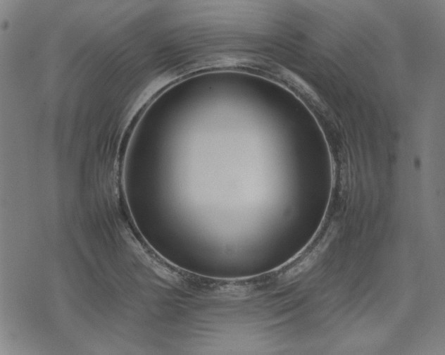 X0000074931178200609011043