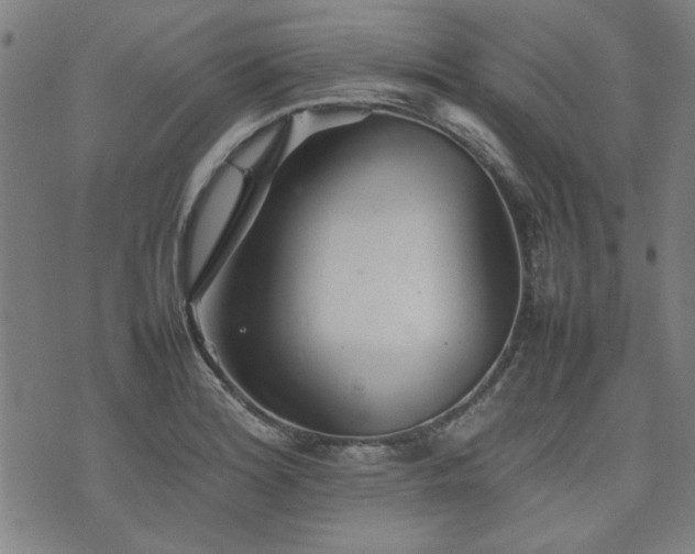X0000074931180200609011043