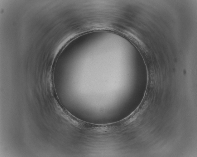 X0000074931182200609011043