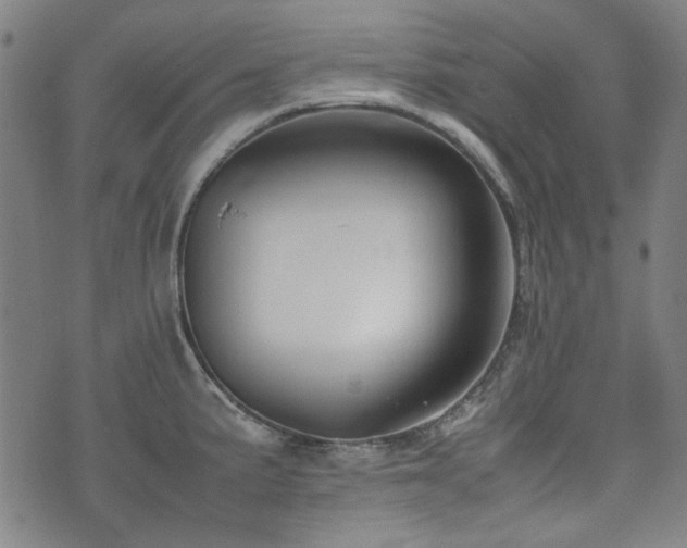 X0000074931191200609011043