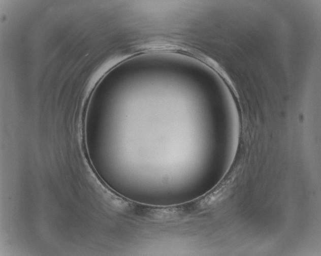 X0000074931195200609011043