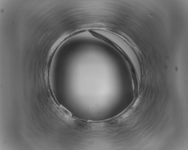X0000074931196200609011043