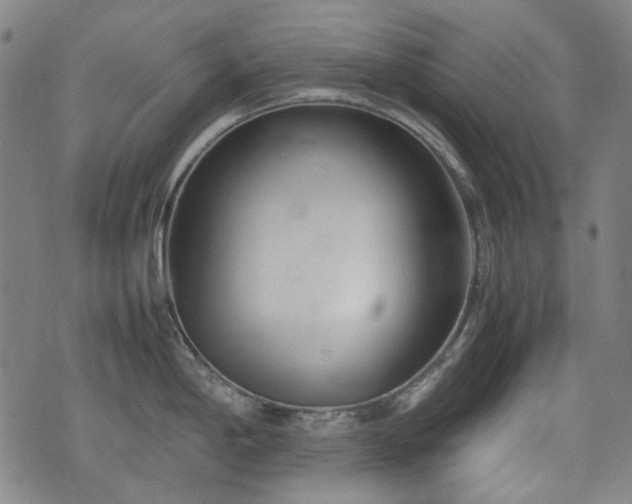 X0000074931198200609011043