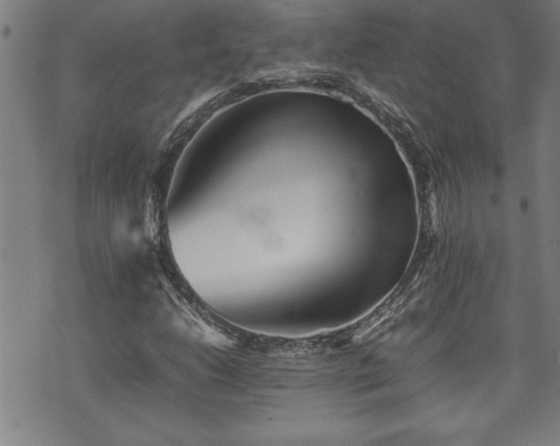 X0000074931206200609011042