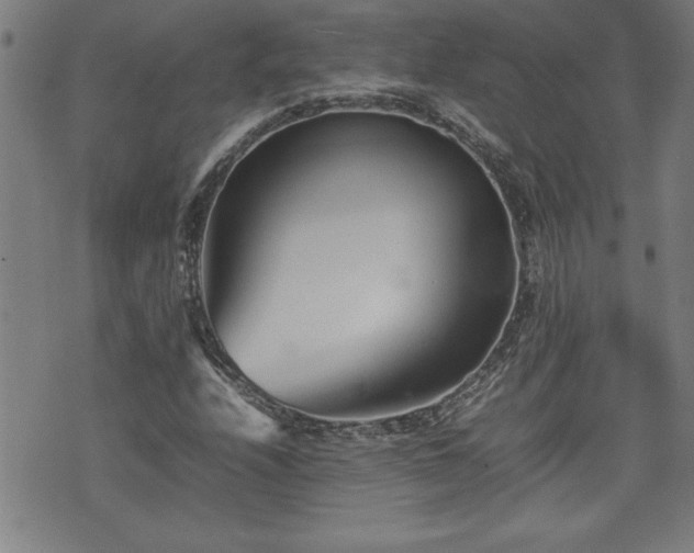 X0000074931208200609011042