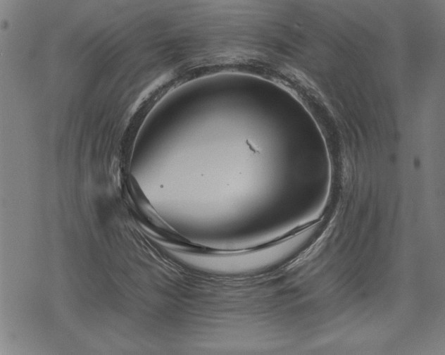 X0000074931210200609011042