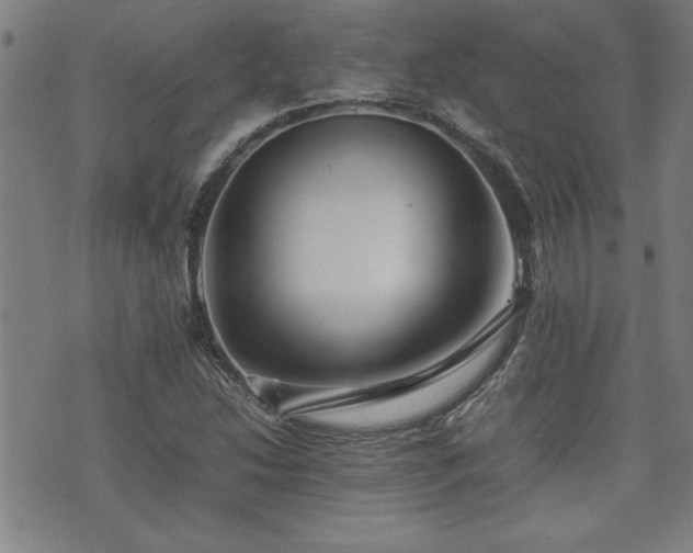 X0000074931214200609011042