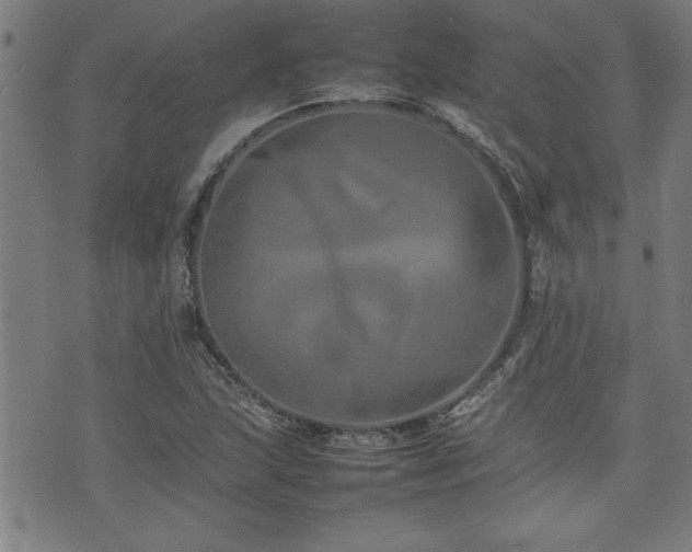 X0000074931215200609011042