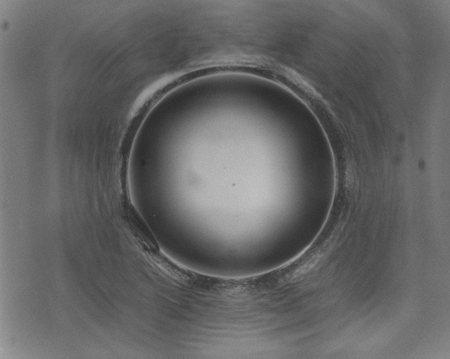 X0000074931222200609011042