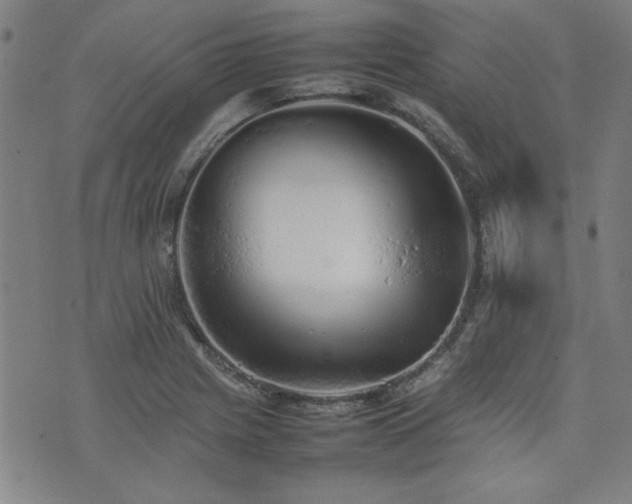 X0000074931225200609011042