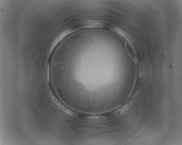 X0000074931227200609011042