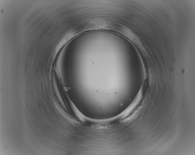 X0000074931234200609011042