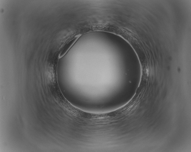 X0000074931252200609011042
