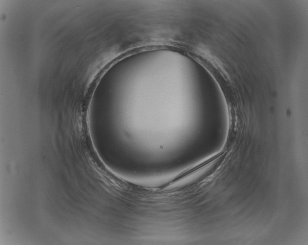 X0000074931260200609011042