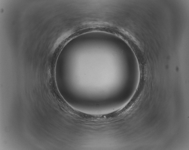 X0000074931261200609011041
