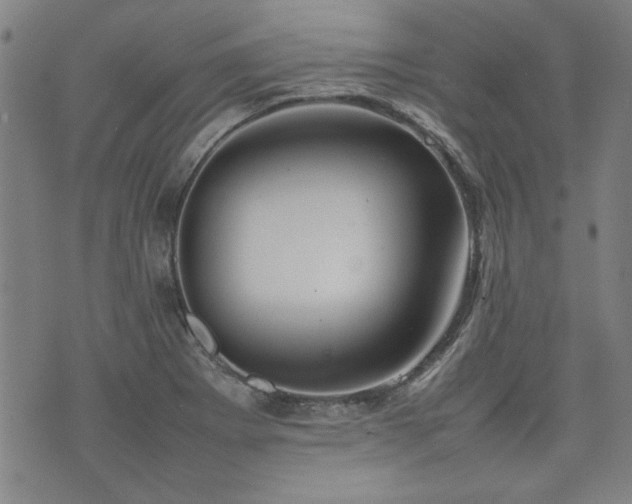 X0000074931273200609011041