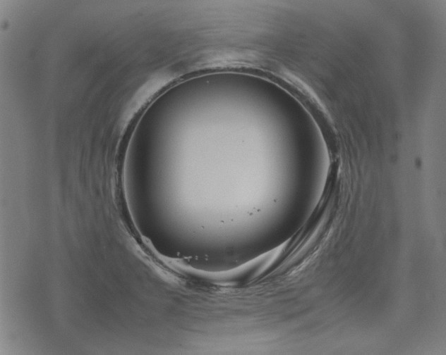 X0000074931277200609011041