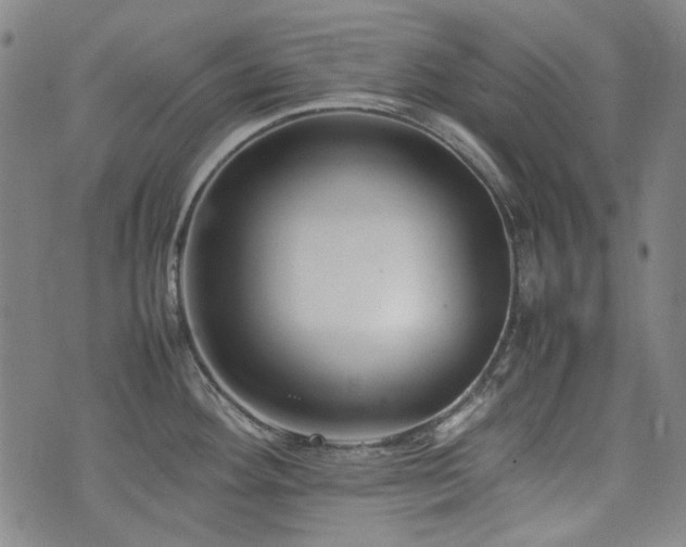 X0000074931292200609011041