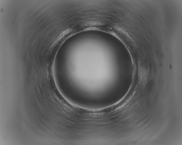 X0000074931305200609011040